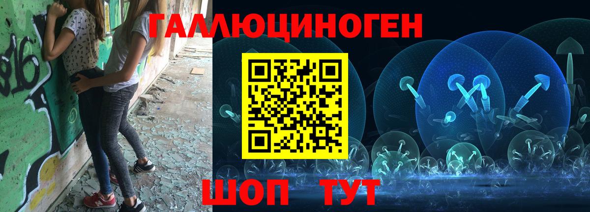 Псилоцибиновые грибы Psilocybe  Вход с VPN  Геленджик 